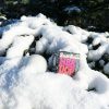 nee-doh-snowball-crunch_02 NEE DOH Snowball Crunch